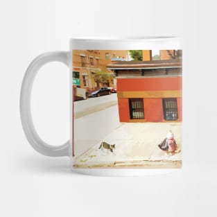 Street cats Mug